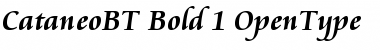 Cataneo Bold Font Title Preview Cataneo Bold Font Title Preview