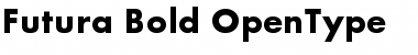 Futura Bold Font Title Preview Futura Bold Font Title Preview