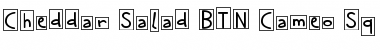 Cheddar Salad BTN Cameo Sq Regular Font Title Preview Cheddar Salad BTN Cameo Sq Regular Font Title Preview