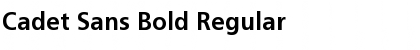 Cadet Sans Bold Regular Font Title Preview Cadet Sans Bold Regular Font Title Preview