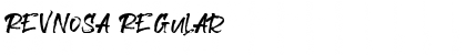 Revnosa Regular Font Title Preview Revnosa Regular Font Title Preview