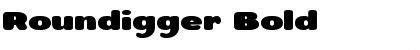 Roundigger Bold Font Title Preview Roundigger Bold Font Title Preview