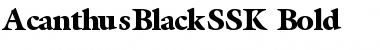 AcanthusBlackSSK Bold Font Title Preview AcanthusBlackSSK Bold Font Title Preview