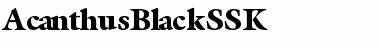AcanthusBlackSSK Regular Font Title Preview AcanthusBlackSSK Regular Font Title Preview