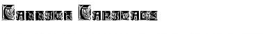 Carrick Capitals Normal Font Title Preview Carrick Capitals Normal Font Title Preview