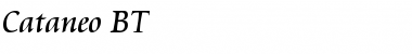 Cataneo BT Regular Font Title Preview Cataneo BT Regular Font Title Preview
