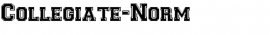 Collegiate-Norm Regular Font Title Preview Collegiate-Norm Regular Font Title Preview