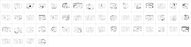 Sipirit of Montezuma Four Regular font glyphpreview