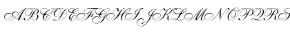 ShelleyAllegroScript-Normal Regular Font