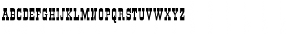 DS Roundup Regular Font