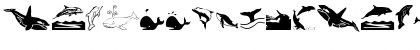 Orcas Regular Font