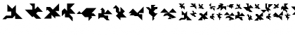 TangramBumBirds Regular Font