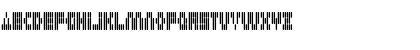 DS Okinami55R Regular Font
