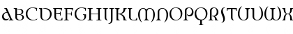 EnvisionRoman Regular Font