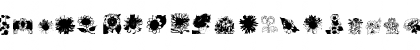 NewWGL4Font Regular Font