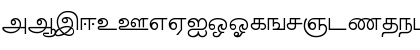 AkrutiTmlBarathi Normal Font