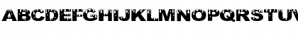 Optimistic Trends Regular Font