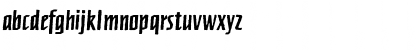 FFNewberlinBoldRough Regular Font