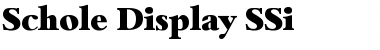 Schole Display SSi Regular Font Title Preview