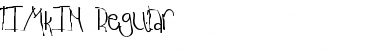 TIMKIN Regular Font Title Preview