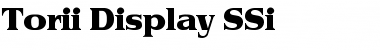 Torii Display SSi Regular Font Title Preview