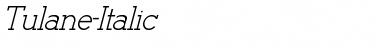 Tulane-Italic Regular Font Title Preview