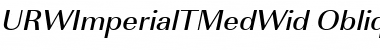 URWImperialTMedWid Oblique Font Title Preview