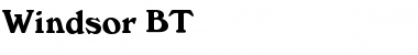 Windsor Roman Font Title Preview