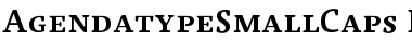 Agendatype SmallCaps Bold Font Title Preview