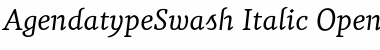 Agendatype Swash Italic Font Title Preview