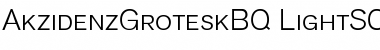 Akzidenz-Grotesk BQ Light Small Caps & OldStyle Figures Font Title Preview