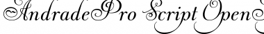 Andrade Pro Script Font Title Preview