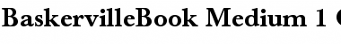 Berthold Baskerville Book Medium Font Title Preview