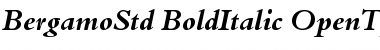 Bergamo Std Bold Italic Font Title Preview