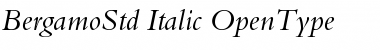 Bergamo Std Italic Font Title Preview