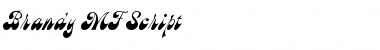 Brandy MF Script Font Title Preview