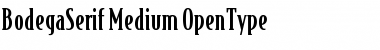 BodegaSerif Medium Font Title Preview