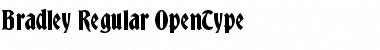 Bradley Regular Font Title Preview