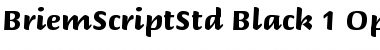 Briem Script Std Black Font Title Preview