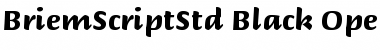 Briem Script Std Black Font Title Preview
