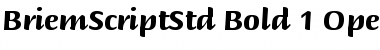 Briem Script Std Bold Font Title Preview