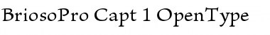 Brioso Pro Caption Font Title Preview