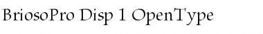 Brioso Pro Display Font Title Preview