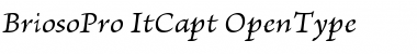 Brioso Pro Italic Caption Font Title Preview