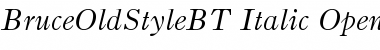 Bruce Old Style Italic Font Title Preview