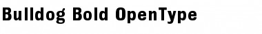 Bulldog Bold Font Title Preview