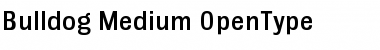 Bulldog Medium Font Title Preview