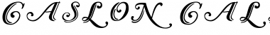 Caslon Calligraphic Initials Regular Font Title Preview