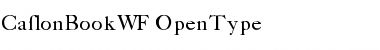 CaslonBookWF Regular Font Title Preview
