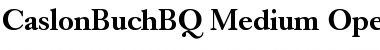 Caslon Buch BQ Regular Font Title Preview